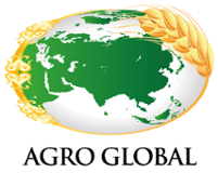 logo7